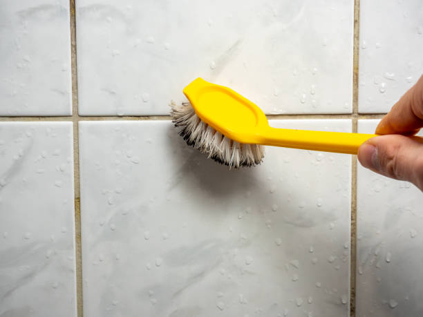 Best Mold Cleaning Services  in Port Lavaca, TX