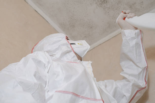 Office Mold Removal Services in Port Lavaca, TX