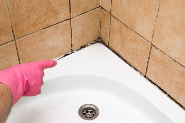 Best Certified Mold Removal  in Port Lavaca, TX